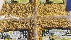 jasmine flowers,flor de jazmin,te de jazmin,jazmin comun,Jasminum officinale !!!