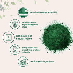 Organic Kelp Powder, 2Lbs | Sustainably US Grown, Raw Ascophyllum Nodosum Source