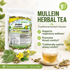 Mullein Leaf Herbal Tea – Gordolobo infusion te – Natural Respiratory Support*