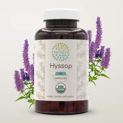 HerbEra Hyssop 60/120 Capsules, 500 mg, Organic (Hyssopus officinalis)
