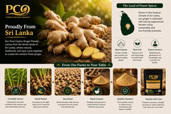 Pure Organic Ginger Powder 100% Natural Premium Ceylon Spice Purely Ceylon