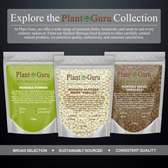500 Moringa Oleifera Seeds Kernel 4 oz. SHELLED Fresh Organic Semilla De Moringa