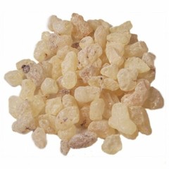 Certified Organic Boswellia carteri powdered extract infused in Jojoba oil 40%