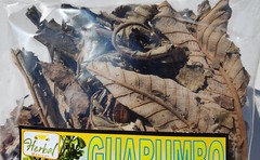 Guarumo Hierba Te, guarumbo, yagrumo, yarumo, Chancarro, Cecropia peltata !!