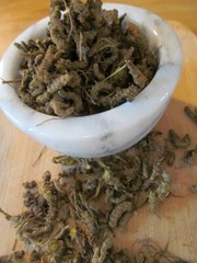 Goldenseal Root – Cut and Sifted Root, Appalachian Mountains Wild Harvest