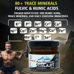 2x Himalayan SHILAJIT Resin 10g Natural Mineral-Rich Resin Herbal Supplement