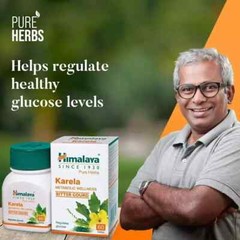 Himalaya Karela – 60 Tabs x 15 Pack | Natural Support for Healthy 02-2027
