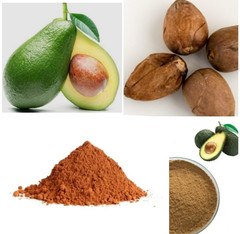 Ceylon Sun Dried Avocado Seed Powder Natural Organic 50g / 1.76Oz Free Shipping