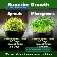 Non-GMO Heirloom Alfalfa Sprouting Seeds – Bulk Organic Vegetable Seeds
