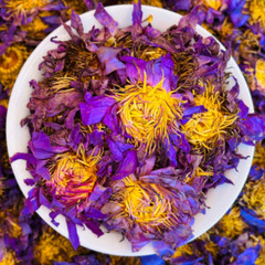 Dried Blue Lotus Nymphaea Caerulea Herbal Organic Hand Picked Flowers Tea Bags
