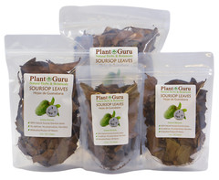Dried Soursop Leaves – Natural Graviola Soursop Tea Leaves, Hojas de Guanabana