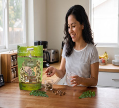 Organic Moringa Seeds Oleifera 4oz Semillas de Moringa Premium Whole Raw Natural