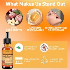 Liposomal Aged Garlic Extract Liquid Drop 500 mg, 15:1 Extract, Odorless |