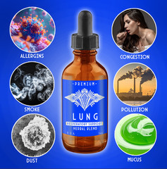 Artisan Lung & Respiratory Support Tincture Mullein, Elecampane Thyme +MORE USA