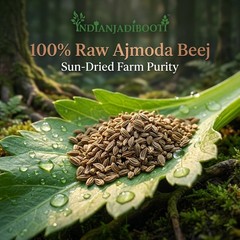 IndianJadiBooti Ajmoda Seeds (Apium Graveolens) Celery Seeds – 400 GRAMS