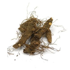 Organic Pure Bloodroot – Whole Dried Root