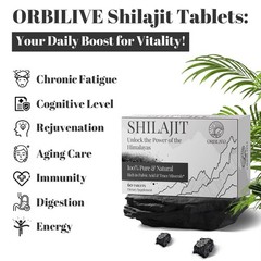 Shilasjit Tablets 1000 MG, 100% Himalayan Organic, 60 Count (Pack of 1), No