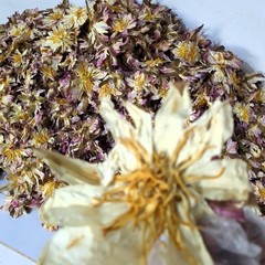 White Lotus Nymphaea ampla Hand Picked Dried Ceylon 100% Organic Flower Herb Tea