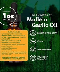 Holistic 1 oz Mullein Garlic Oil – Certified Organic & Wildcrafted Herbal Blend