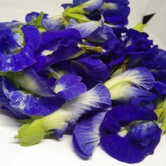 Organic Blue Butterfly Pea Flowers Dried Clitoria Ternatea Herbal Tea 1.7 Oz