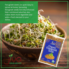 Jiva Organic Fenugreek Seeds 2.5 LB Bulk – as Seen on Tik Tok – Whole Methi Seed