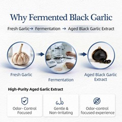 Black Garlic Extract Capsules – Natural Aged Odorless 240 Capsules Supplement