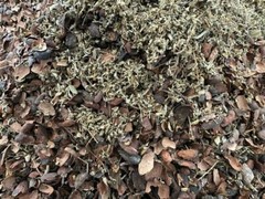 CACAO CEREMONY INCENSE 300g PURE ENERGY UNIVERSAL LOVE COPAL & DAMIANA AU SELLER