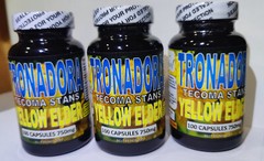 Tronadora,Retama,Tecoma Stans,Yellow elder 100 Capsules,Hierba de San pedro !!!