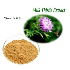 Milk Thistle Extract Silymarin 80% Powder Liver Health Detoxification Detox