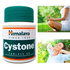 5 pack X Himalaya Herbal Cystone 60 Tabs FREE SHIP