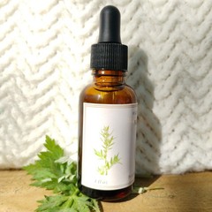 Organic Mugwort Tincture Fresh Artemisia Vulgaris Herbal Extract 1oz Bitter
