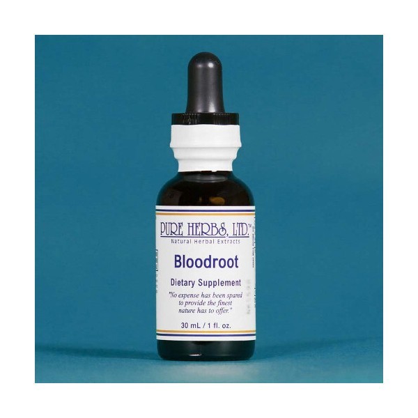 Pure Herbs: Blood Root (Red Root) – 1 oz. (Natural Herbal Extracts)