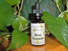 Blue Vervain Tincture 2 oz. Wildcrafted
