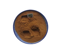 Maritime Pine Bark Extract Powder 95% OPC Pure Antioxidant ( 250g )
