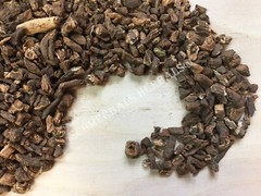 Dandelion Root, Taraxacum officinale, Roasted ~ Schmerbals Herbals