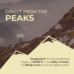 Rasayanam Pure Original Himalayan Shilajit Resin 20gm Improve Strength & stamina