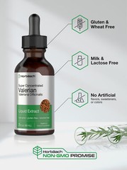 Valerian Root Liquid Extract | 2 fl oz | Alcohol Free | Vegetarian | by Horbaach