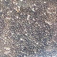 Chia Seeds 100% ALL-Natural Superfood Choose Size!