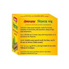 Baidyanath Giloy Satwa 50 gm / 1.76 oz Ayurvedic Herbal Powder For Immunity