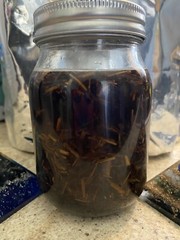 Jamaican Blue Vervain Tincture