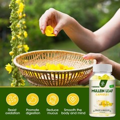 Mullein Leaf Capsules 1500MG For Lung Cleanse Detox Herbal Dietary Supplement