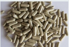 Mullein Leaf Capsules 60ct | Vegan Organic | Natural Lung & Respiratory Support