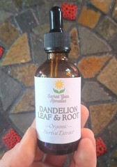 Dandelion Leaf & Root Extract, Fresh Organic Liquid Herbal Liver Digestive