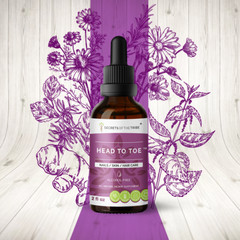 Secrets Of The Tribe Head to Toe Tincture Alcohol-FREE Extract