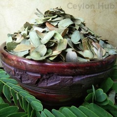 Organic Tamarind Leaf Powder 100% Pure Ceylon Herbal Tea Wellness Tamarindus Oz