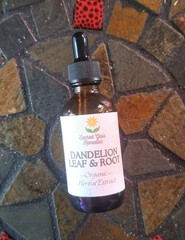 Dandelion Leaf & Root Extract, Fresh Organic Liquid Herbal Liver Digestive