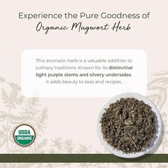 Organic Mugwort Herb, 1 lb Bag – Dried Loose Leaf Tea