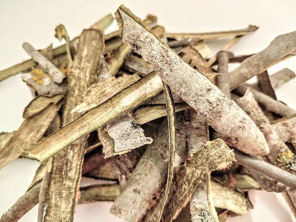 Aspen bark Thin Spring 2026 organic natural dried Populus tremula Eco product