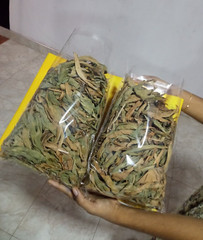 500g Ceylon Thebu Leaves Costus Natural Insulin Plant Organic Diabetic Tea
