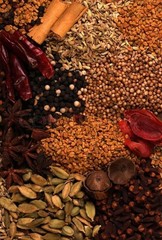 Mixed Whole Spices – Blend Aromatic Spiced A Grade Quality – Nature Grown 100G